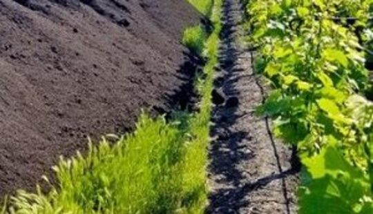 compost van www.VGR.nl