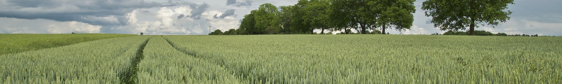 landbouw 2 bron Broin Pixabay