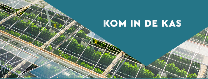 kom in de kas 2024