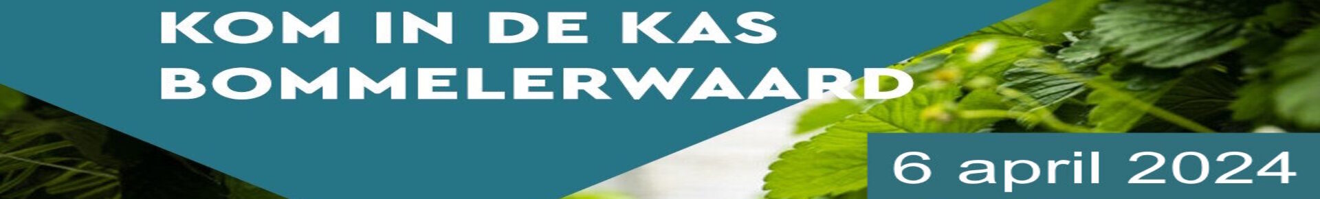 kom in de kas header 2