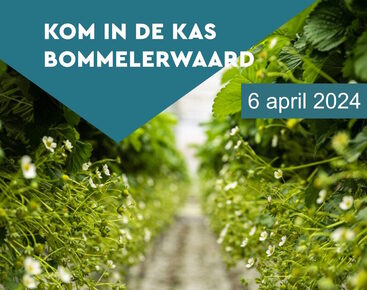 kom in de kas header 2