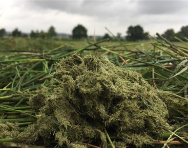 gras verwerken tot bodemverbeterende producten