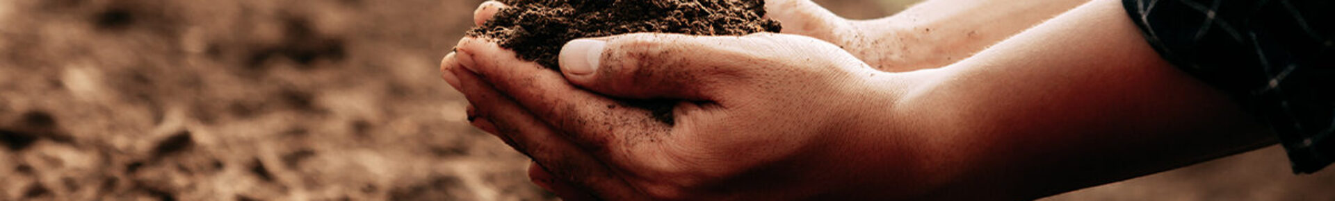 23 11 07 Getting compost in the soil