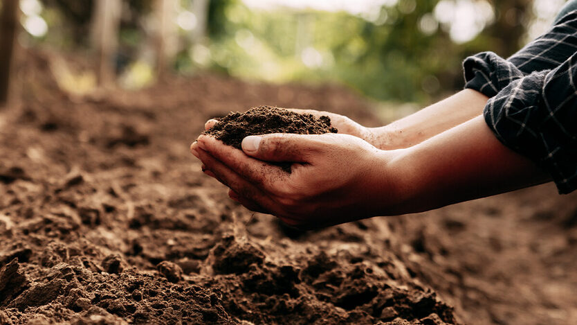 23 11 07 Getting compost in the soil