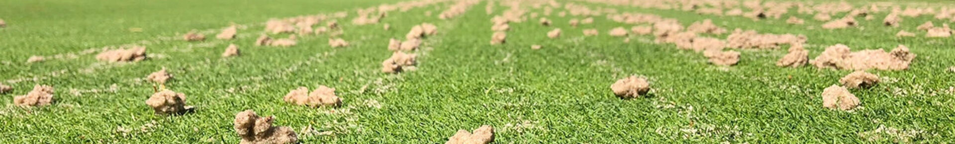 2241576 VGR Groep Content 08-10 Nieuws