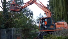 bomen snoeien door VGR Dienstverlening