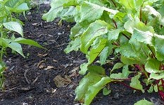 compost van VGR